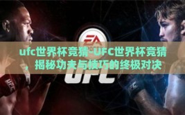 ufc世界杯竞猜-UFC世界杯竞猜，揭秘功夫与技巧的终极对决