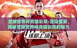 足球世界杯竞猜彩宗-足坛盛宴，揭秘足球世界杯竞猜彩宗的魅力与策略