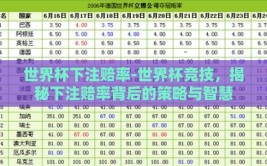 世界杯下注赔率-世界杯竞技，揭秘下注赔率背后的策略与智慧