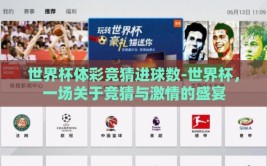 世界杯体彩竞猜进球数-世界杯，一场关于竞猜与激情的盛宴