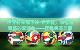 世界杯在那下注-世界杯，激情与策略的交响曲——理性借鉴与那下注的艺术