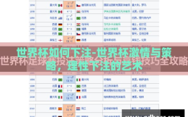 世界杯如何下注-世界杯激情与策略，理性下注的艺术