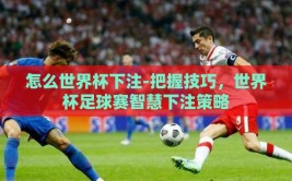 怎么世界杯下注-把握技巧，世界杯足球赛智慧下注策略