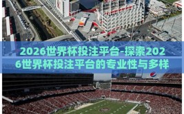2026世界杯投注平台-探索2026世界杯投注平台的专业性与多样性，如何科学选择？