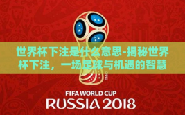 世界杯下注是什么意思-揭秘世界杯下注，一场足球与机遇的智慧博弈