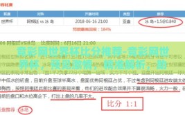 竞彩网世界杯比分推荐-竞彩网世界杯，预见激情，精准解析，助您一臂之力