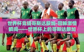 世界杯竞猜哥斯达黎加-回眸激情瞬间——世界杯上的哥斯达黎加之谜