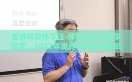 世界杯软件下注-体育狂欢与数字嬗变，2022年世界杯的数字化挑战