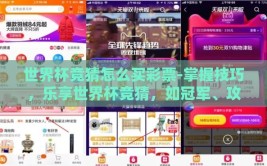 世界杯竞猜怎么买彩票-掌握技巧，乐享世界杯竞猜，如冠军、攻球手及比分投注手把手秘籍