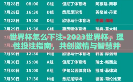 世界杯怎么下注-2023世界杯，理性投注指南，共创激情与智慧并存的观赛体验