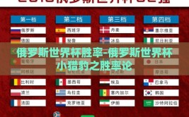 俄罗斯世界杯胜率-俄罗斯世界杯小猎豹之胜率论