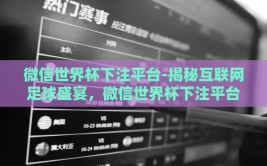 微信世界杯下注平台-揭秘互联网足球盛宴，微信世界杯下注平台的灰色地带与风险警示