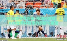 2026世界杯赔率-预测与激情，2026世界杯赔率的前瞻与展望