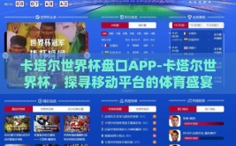 卡塔尔世界杯盘口APP-卡塔尔世界杯，探寻移动平台的体育盛宴