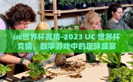 uc世界杯竞猜-2023 UC 世界杯竞猜，数字游戏中的足球盛宴