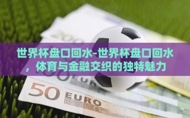 世界杯盘口回水-世界杯盘口回水，体育与金融交织的独特魅力