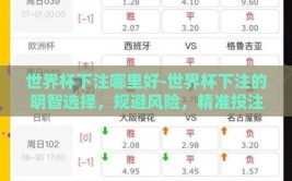 世界杯下注哪里好-世界杯下注的明智选择，规避风险，精准投注