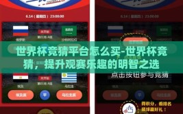 世界杯竞猜平台怎么买-世界杯竞猜，提升观赛乐趣的明智之选