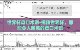 世界杯盘口术语-揭秘世界杯，那些令人困惑的盘口术语