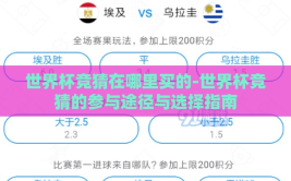 世界杯竞猜在哪里买的-世界杯竞猜的参与途径与选择指南