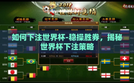 如何下注世界杯-稳操胜券，揭秘世界杯下注策略
