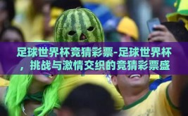 足球世界杯竞猜彩票-足球世界杯，挑战与激情交织的竞猜彩票盛宴