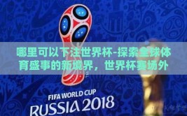 哪里可以下注世界杯-探索全球体育盛事的新境界，世界杯赛场外的玩法与安全指引