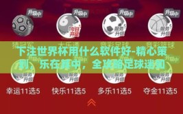 下注世界杯用什么软件好-精心策划，乐在其中，全攻略足球迷如何在选软中觅得世界杯下注良伴