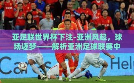 亚足联世界杯下注-亚洲风起，球场逐梦——解析亚洲足球联赛中的下注文化与参与者的策略智慧