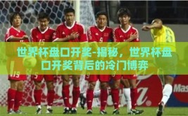世界杯盘口开奖-揭秘，世界杯盘口开奖背后的冷门博弈
