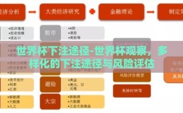 世界杯下注途径-世界杯观察，多样化的下注途径与风险评估