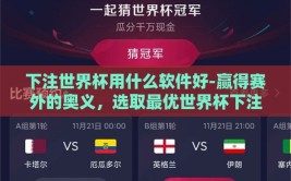 下注世界杯用什么软件好-赢得赛外的奥义，选取最优世界杯下注应用