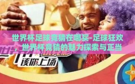 世界杯足球竞猜在哪买-足球狂欢，世界杯竞猜的魅力探索与正当购买渠道指南