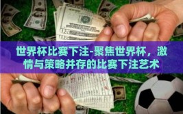 世界杯比赛下注-聚焦世界杯，激情与策略并存的比赛下注艺术