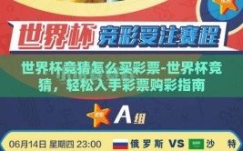世界杯竞猜怎么买彩票-世界杯竞猜，轻松入手彩票购彩指南