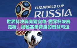 世界杯决赛竞猜实单-世界杯决赛竞猜，揭秘实单背后的智慧与运气