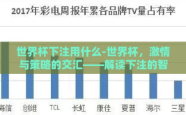 世界杯下注用什么-世界杯，激情与策略的交汇——解读下注的智慧之道