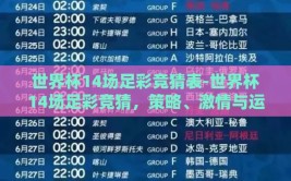 世界杯14场足彩竞猜表-世界杯14场足彩竞猜，策略、激情与运气的交响曲