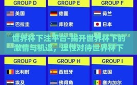 世界杯下注平台-揭开世界杯下的激情与机遇，理性对待世界杯下注平台的参与