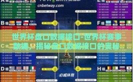 世界杯盘口数据接口-世界杯赛事数据，揭秘盘口数据接口的奥秘与价值
