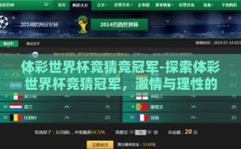 体彩世界杯竞猜竞冠军-探索体彩世界杯竞猜冠军，激情与理性的交汇点