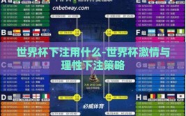 世界杯下注用什么-世界杯激情与理性下注策略