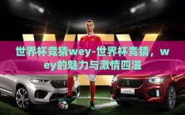 世界杯竞猜wey-世界杯竞猜，wey的魅力与激情四溢