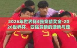 2026年世界杯4强竞猜奖金-2026世界杯，四强竞猜的激情与惊喜