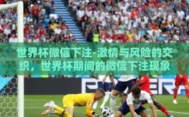 世界杯微信下注-激情与风险的交织，世界杯期间的微信下注现象