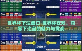 世界杯下注盘口-世界杯狂欢，洞悉下注盘的魅力与挑战