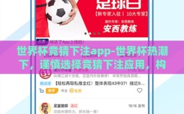 世界杯竞猜下注app-世界杯热潮下，谨慎选择竞猜下注应用，构建理性观赛与娱乐的平衡