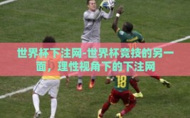 世界杯下注网-世界杯竞技的另一面，理性视角下的下注网