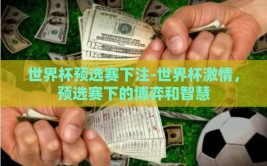 世界杯预选赛下注-世界杯激情，预选赛下的博弈和智慧
