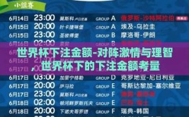 世界杯下注金额-对阵激情与理智，世界杯下的下注金额考量